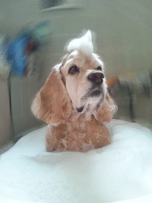 f0203249_1233149.gif