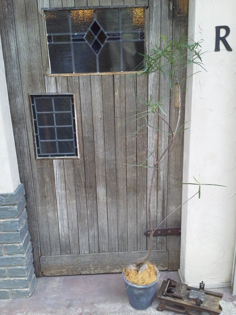 prit_d0162257_0402030.jpg