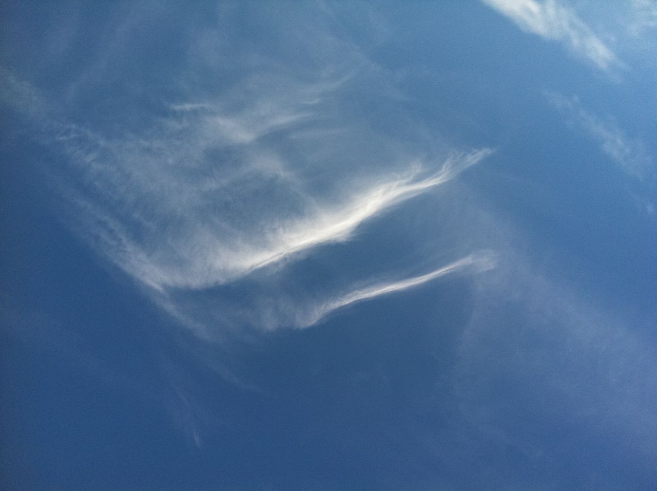 f0134859_334414.jpg