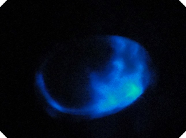 c0108460_2359508.jpg