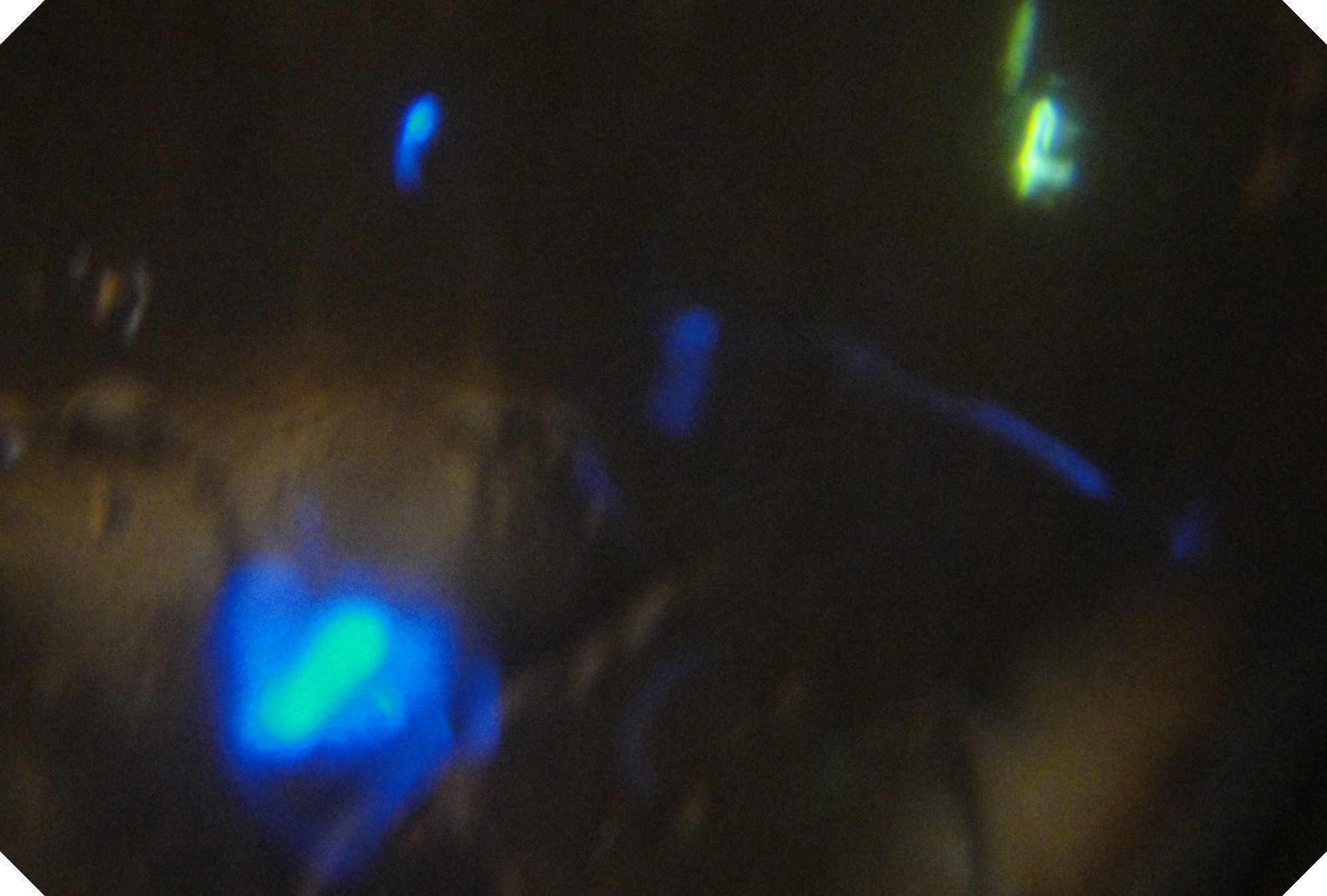 c0108460_2359773.jpg