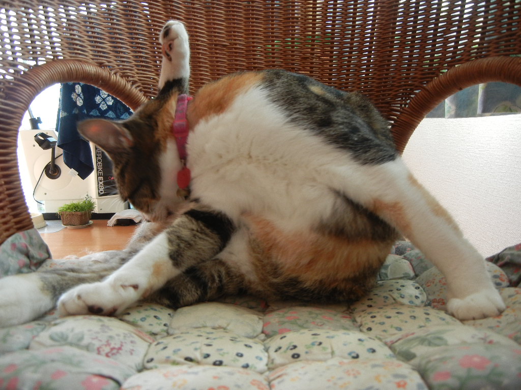 2011年9月17日(土)台風の影響!_f0060461_11394391.jpg