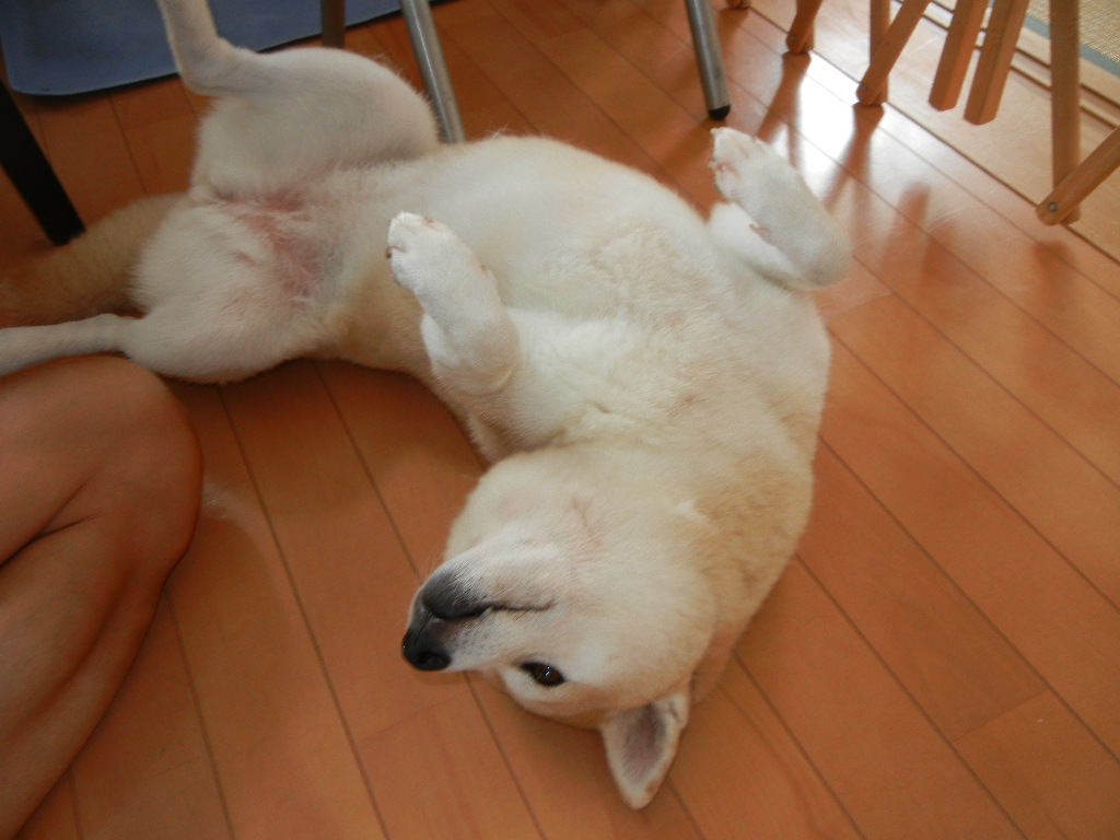 2011年9月17日(土)台風の影響!_f0060461_11415730.jpg