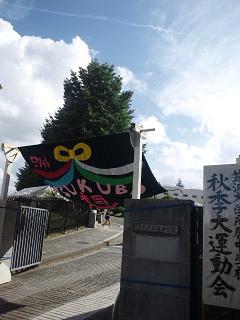 b0108363_1654514.jpg
