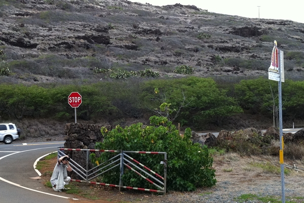 c0225766_20234.jpg
