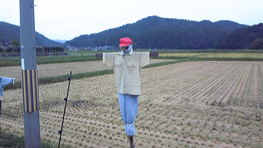 見守ってます_a0200771_15471461.jpg