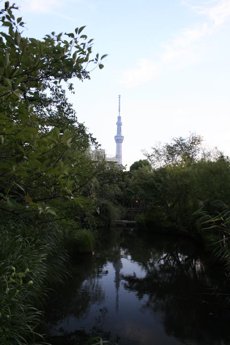 e0164571_0282064.jpg