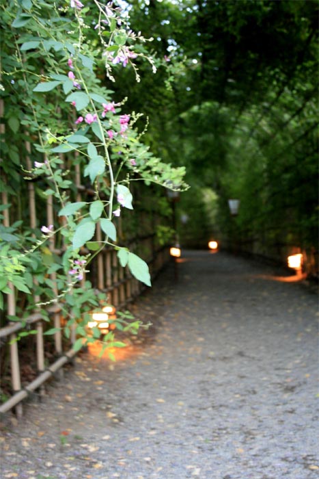 e0164571_0293338.jpg
