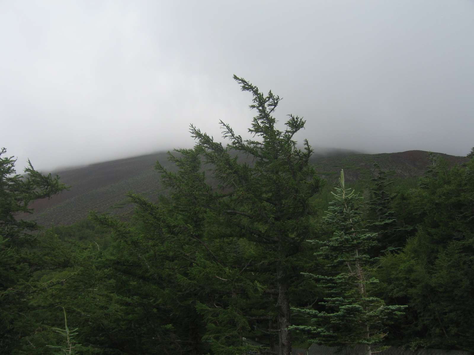 c0154876_034304.jpg