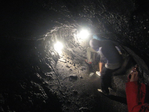 c0154876_0594431.jpg