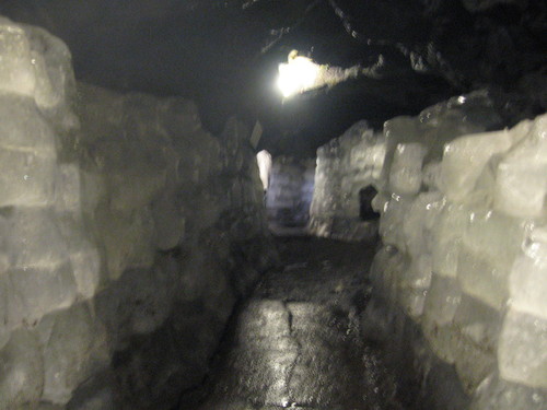 c0154876_10046.jpg