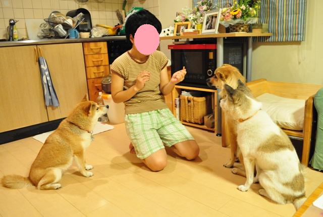 すぐ側にいるよ_a0126590_8531222.jpg