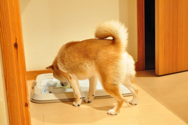 すぐ側にいるよ_a0126590_983626.jpg