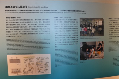 f0159390_11181871.jpg