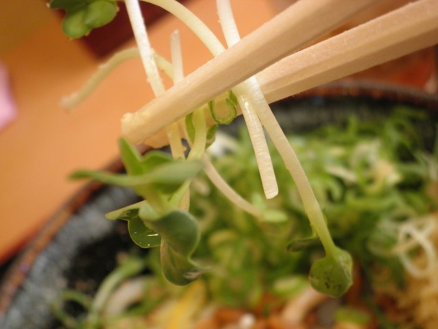 c0118393_1540110.jpg