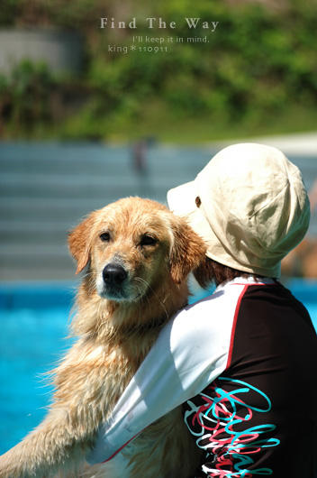【犬的散歩日和】茨城・涸沼 〜 PRIMELAND ドッグランひぬま 3/3_f0054594_8555652.jpg