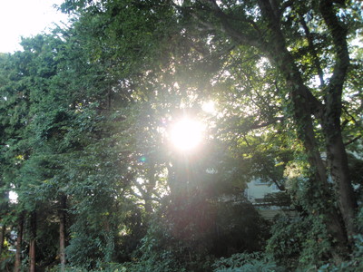 a0207196_013912.jpg