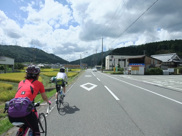 亀岡～能勢～猪名川町　里山ロードトレーニング　８０ｋｍ_b0194998_23391188.jpg