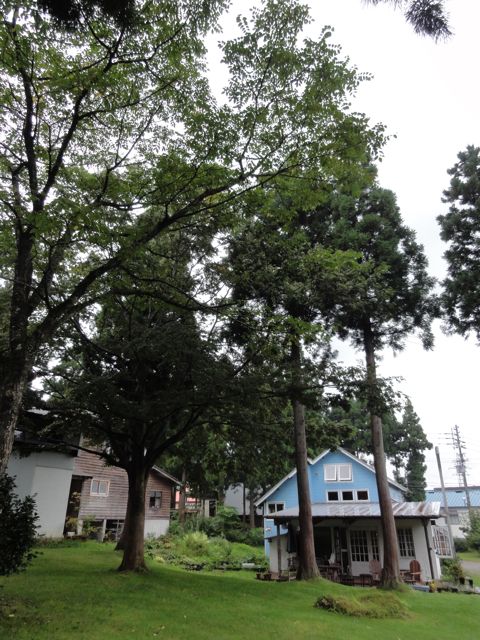 a0061599_79868.jpg