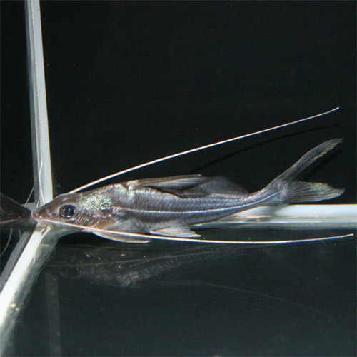 c0165800_2012824.jpg