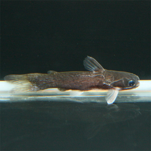 c0165800_202116.jpg