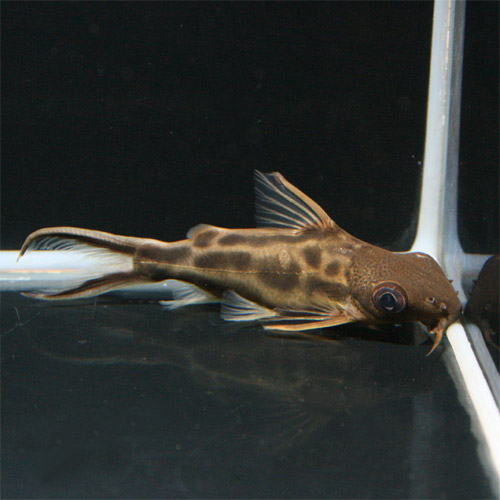 c0165800_2025179.jpg