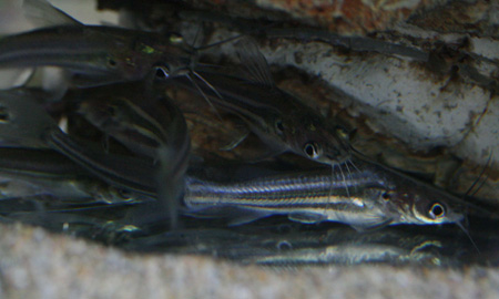 c0165800_2039163.jpg