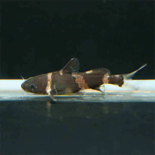 c0165800_2042853.jpg