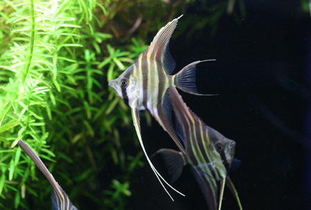c0165800_2049238.jpg