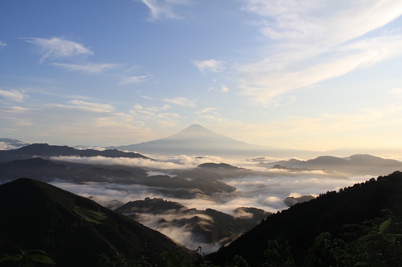 a0188405_1120385.jpg