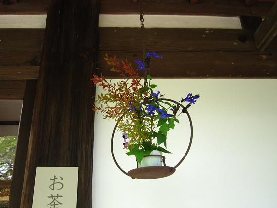 a0141408_9252770.jpg
