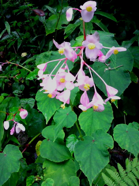 a0230008_16432885.jpg