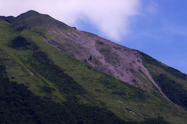 d0207730_41848.jpg