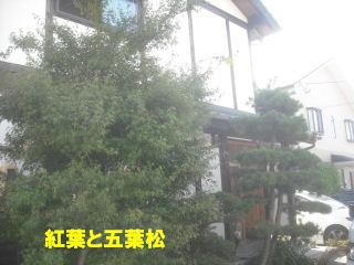 お見積もり_f0031037_18534732.jpg