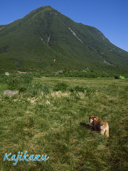 やっぱり大船山朝駆けしよう_a0166940_1234938.jpg