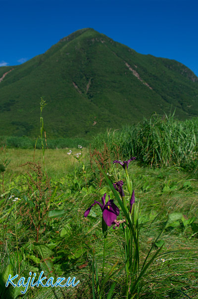 やっぱり大船山朝駆けしよう_a0166940_12353445.jpg