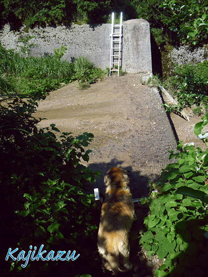 a0166940_12485125.jpg