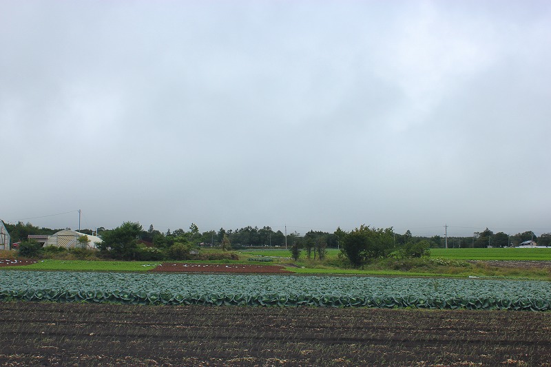 e0023643_1648577.jpg