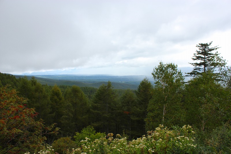 e0023643_16565067.jpg