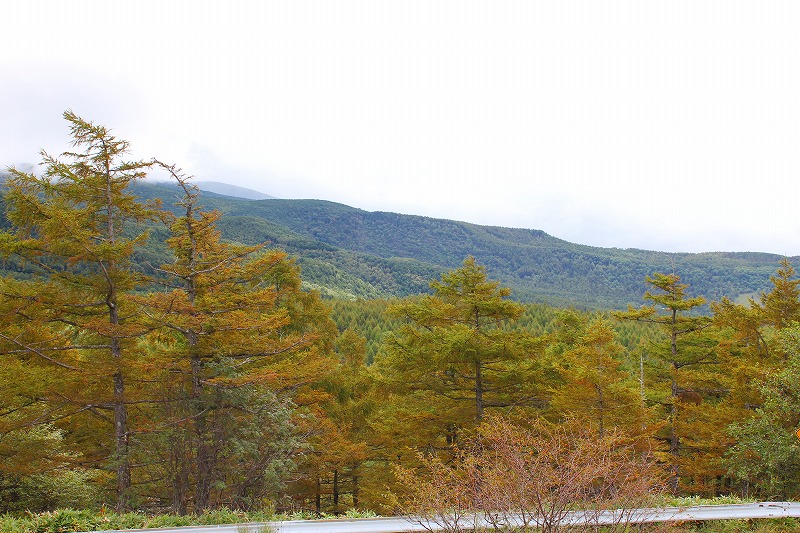 e0023643_1733722.jpg