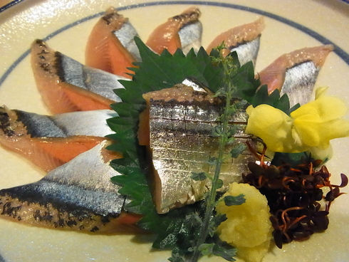 9月16日(日) ひゃあ、パッツンだった・・_d0082944_11573643.jpg