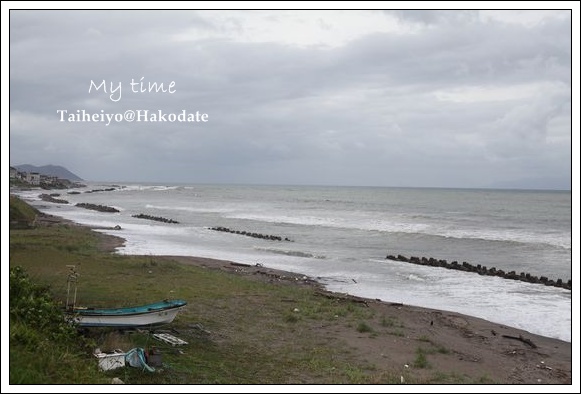 広い室内ドッグラン 函館 My Time ５人の天使と