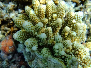 f0190653_21463435.jpg