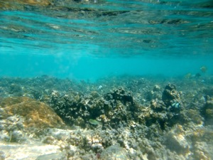 f0190653_21493464.jpg