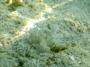 f0190653_21494749.gif