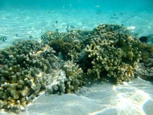 f0190653_21495821.jpg
