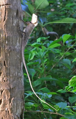 f0190653_21583862.gif