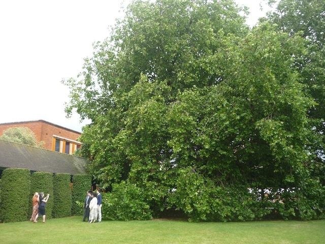 b0015356_23592789.jpg