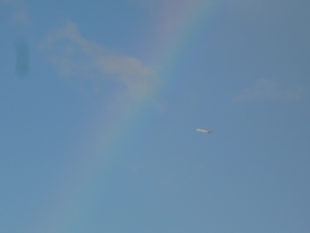 c0100865_2443128.jpg