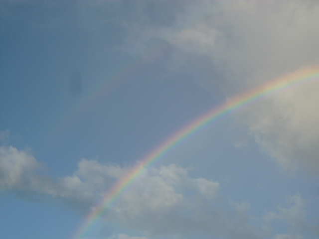 c0100865_2461039.jpg